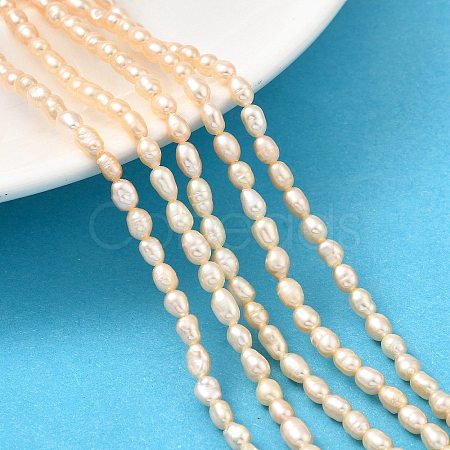 Natural Cultured Freshwater Pearl Beads Strands PEAR-I007-01L-03-1