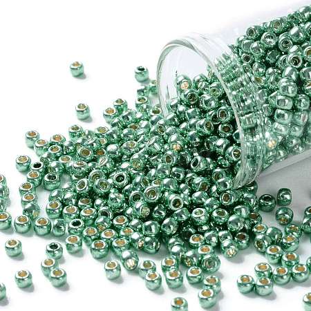 TOHO Round Seed Beads SEED-JPTR08-PF0561-1