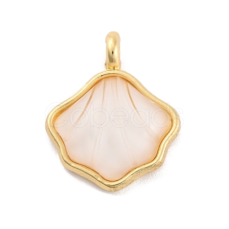 Alloy Resin Pendants FIND-U007-13G-1