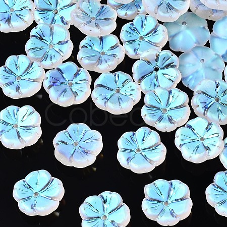 Transparent Frosted Glass Beads GLAA-Q089-003-D001-1