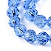 Transparent Glass Beads Strands EGLA-A035-T4mm-D14-3