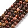 Natural Leopard Skin Jasper Beads Strands G-J358-05-8mm-2