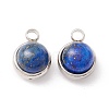 Natural Lapis Lazuli Charms G-K325-01P-02-2