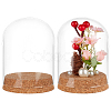 Glass Dome Cover DJEW-WH0043-64B-1