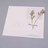 Paper Cards DIY-WH0183-41C-2