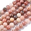 Natural Plum Blossom Jasper Beads Strands G-A163-02-8mm-4