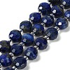 Natural Lapis Lazuli Beads Strands G-B153-B06-2