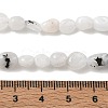 Natural Rainbow Moonstone Beads Strands GG-CBAAEDE-B05-5