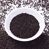 MIYUKI Delica Beads SEED-X0054-DB1002-2