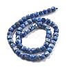 Dyed Natural Sesame Jasper Beads Strands G-C179-B02-01-3