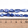 Natural White Shell Beads Strands SHEL-N036-21B-4