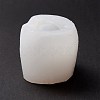 Cat Food Grade Silicone Molds DIY-M031-40-2
