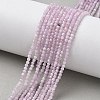 Natural Kunzite/Spodumene Beads Strands G-L651-C12-2mm-01-1