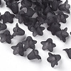 Transparent Acrylic Beads PLF018-17-1