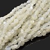 Natural White Moonstone Nuggets Beads Strands X-G-J335-45-1