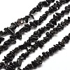 Natural Obsidian Chip Bead Strands G-M205-06-1