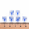 Transparent Acrylic Beads LS-TACR-S154-12A-86-4