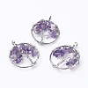 Natural Amethyst Pendants G-E419-03P-2