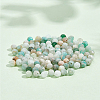 Nbeads 2 Strands Natural Flower Amazonite Beads Strands G-NB0004-59-4