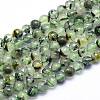 Natural Prehnite Beads Strands G-P322-48-8mm-1