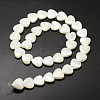 Natural Trochid Shell/Trochus Shell Beads Strands SSHEL-K012-01-A-2