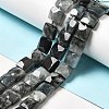 Natural Eagle Eye Stone Beads Strands G-G980-12-2