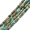 2 Strands Natural African Turquoise(Jasper) Beads Strands G-TA0003-42-2