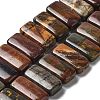 Natural Polychrome Jasper/Picasso Stone/Picasso Jasper Beads Strands G-L585-D01-01-1