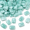 Opaque Acrylic Beads MACR-C037-06B-1