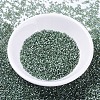 MIYUKI Delica Beads SEED-MY11-DB0689-2