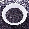 MIYUKI Delica Beads Small SEED-X0054-DBS0312-2