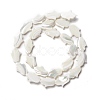 Natural Trochid Shell/Trochus Shell Beads SSHEL-O001-23B-1