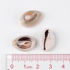 Natural Cowrie Shell Beads BSHE-S053-3