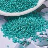MIYUKI Delica Beads SEED-J020-DB0729-1