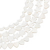 4 Strands 4 Styles Natural Freshwater Shell Beads Strands SHEL-BC0001-032-1