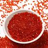 Transparent Glass Seed Beads SEED-S042-21B-04-2