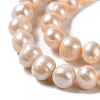 Natural Cultured Freshwater Pearl Beads Strands PEAR-E018-23-3
