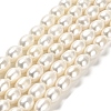 Natural Cultured Freshwater Pearl Beads Strands PEAR-E016-091-1