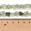 Natural Prehnite Beads Strands G-P497-01E-39-5