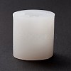 Cat Food Grade Silicone Molds DIY-M031-30-2