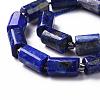 Natural Lapis Lazuli Beads Strands G-S345-8x11-002-3
