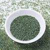 MIYUKI Delica Beads LS-X-SEED-J020-DB1247-2