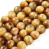 Natural Tiger Eye Beads Strands G-G099-10mm-9-1