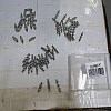60Pcs 3 Style Alloy Rhinestone Bar Spacers ALRI-FH0001-05-1