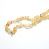 Natural Citrine Beads Strands G-O049-B-29-3