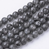 Natural Black Larvikite Bead Strands G-G735-57-6mm-1