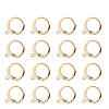 304 Stainless Steel Leverback Earring Findings STAS-G081-62G-1