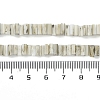 Handmade Lampwork Beads Strands LAMP-Q037-02B-18-4