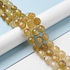 Natural Agate Beads Strands G-C039-D02-2