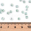 6/0 Transparent Inside Colours Glass Seed Beads SEED-N006-003C-4